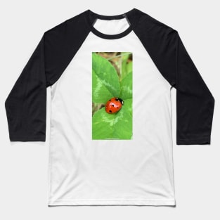 Ladybug Baseball T-Shirt